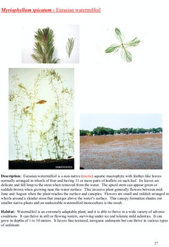 Screen Shot 2019-07-23 at 10.04.31 AM