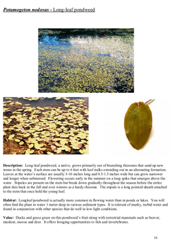 Screen Shot 2019-07-23 at 10.10.04 AM