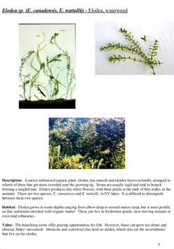 Screen Shot 2019-07-23 at 10.14.15 AM